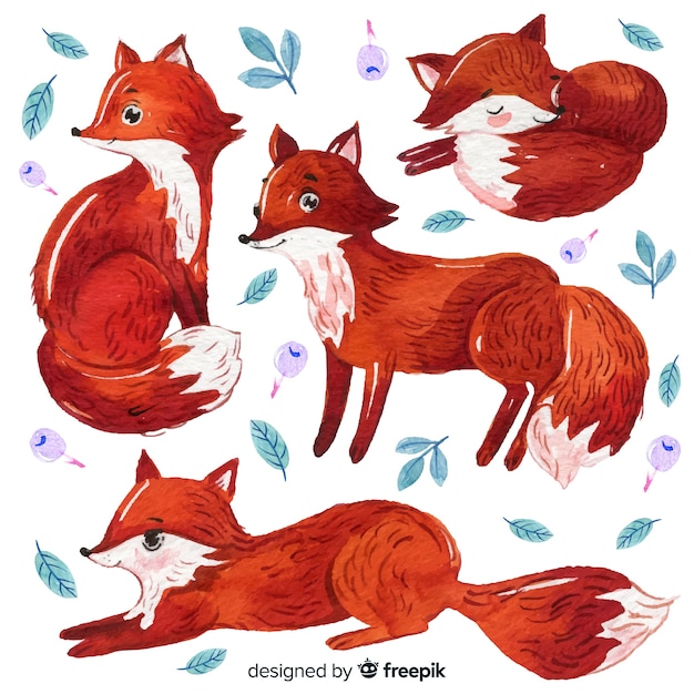 Collection of hand drawn foxes