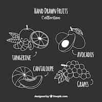 Free vector collection of hand-drawn fruits