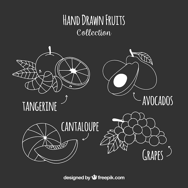 Collection of hand-drawn fruits