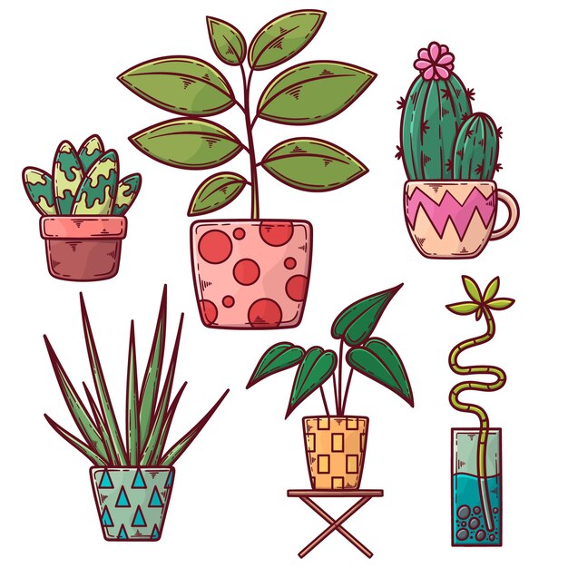 Collection of hand drawn houseplant