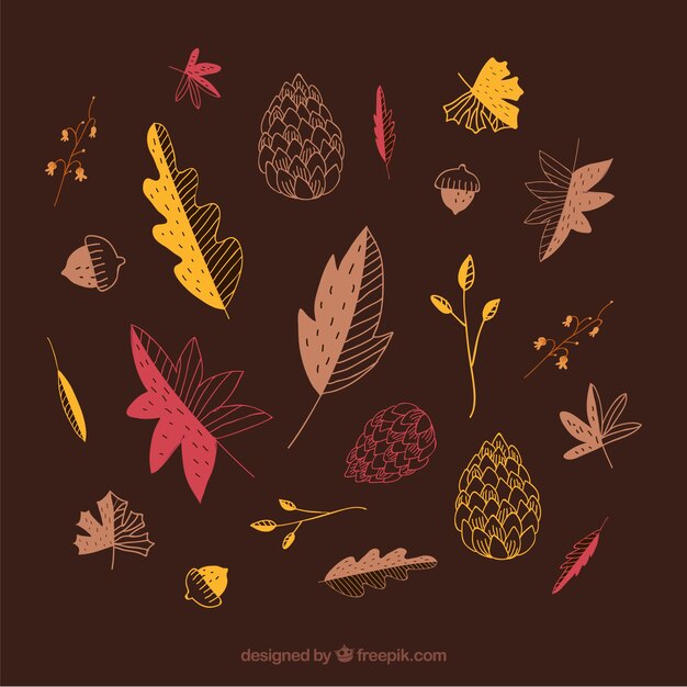 Free Vector collection of hand-drawn leaves