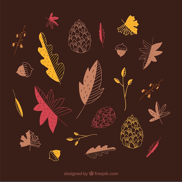 Collection of hand-drawn leaves