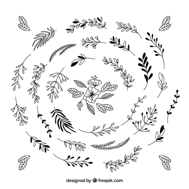 Collection of hand drawn ornamental leaves 