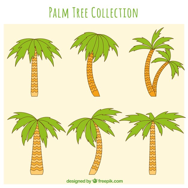 Коллекция рисованных пальм