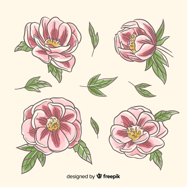手のコレクション牡丹の花を描いた