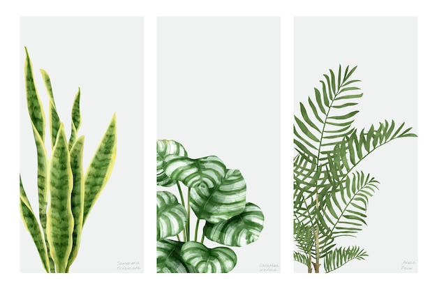 Collection of hand drawn plants isolated on white background