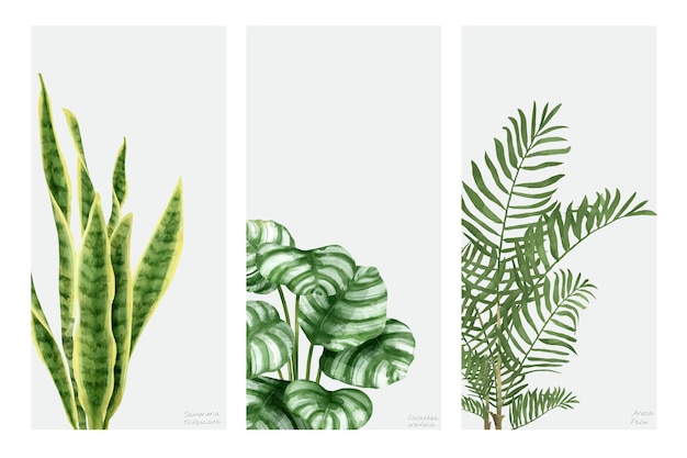 손으로 그린 식물 흰색 배경에 고립의 컬렉션
