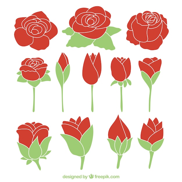 Free vector collection of hand-drawn red roses