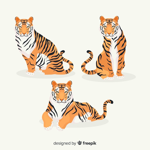 Collection of hand drawn tigers