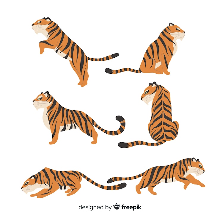 무료 Vector 손으로 그린 호랑이의 컬렉션