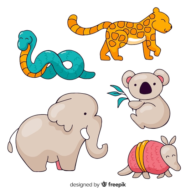 Collection of hand drawn tropical animal