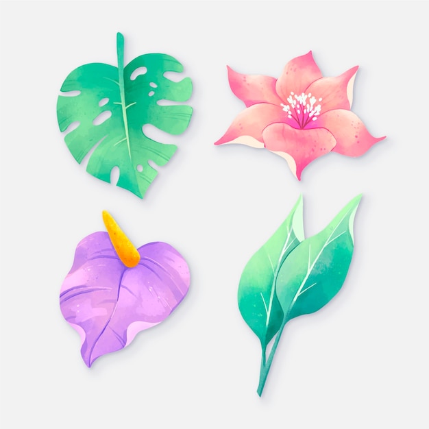 Collection of hand drawn tropical flowers and leaves