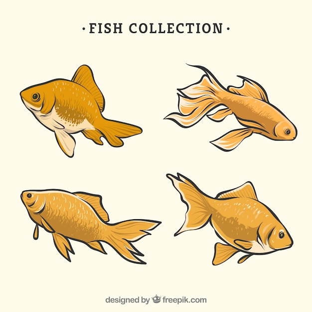 Free vector collection of hand drawn yellow fish