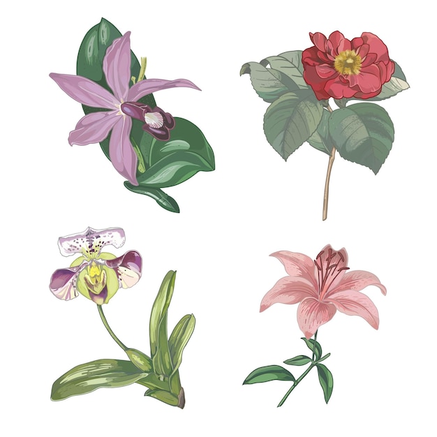 Collection of hand painted flowers