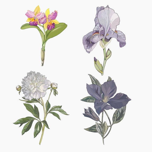 Free vector collection of hand painted flowers