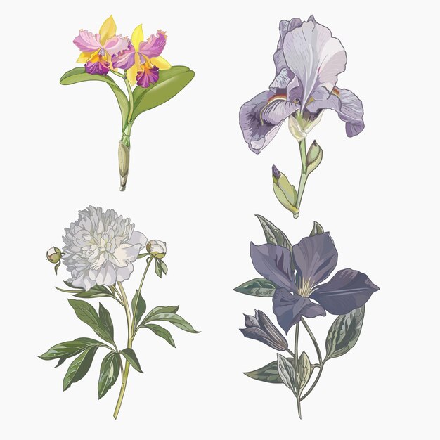 Collection of hand painted flowers