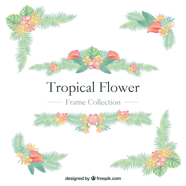 Collection of hand-painted tropical flowers