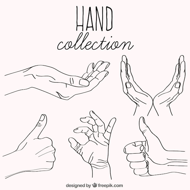 Collection of hand sketches