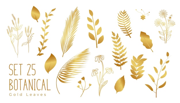 Free vector collection of isolated golden leaves on white banner