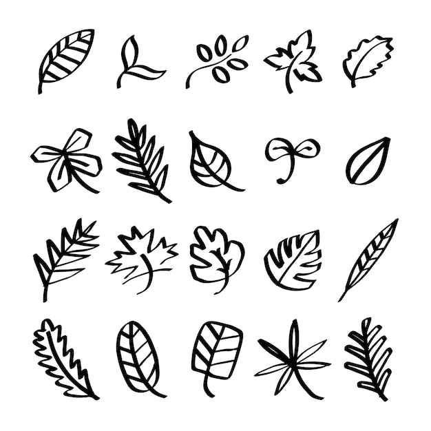 Free vector collection of leaf doodles illustration