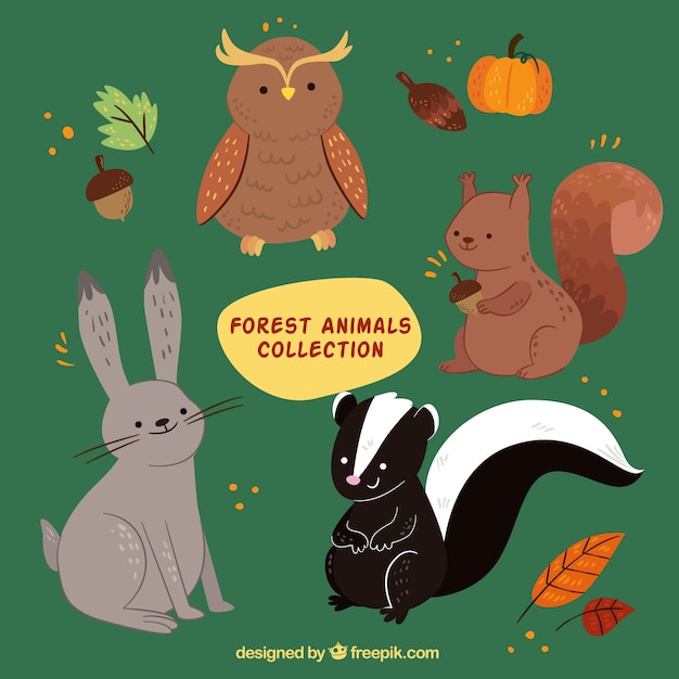 Free vector collection of lovely forest animals with autumn elements