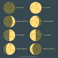 Free vector collection of moon phases in flat design