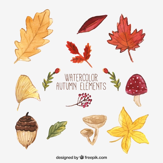 Collection of natural element of autumn watercolor