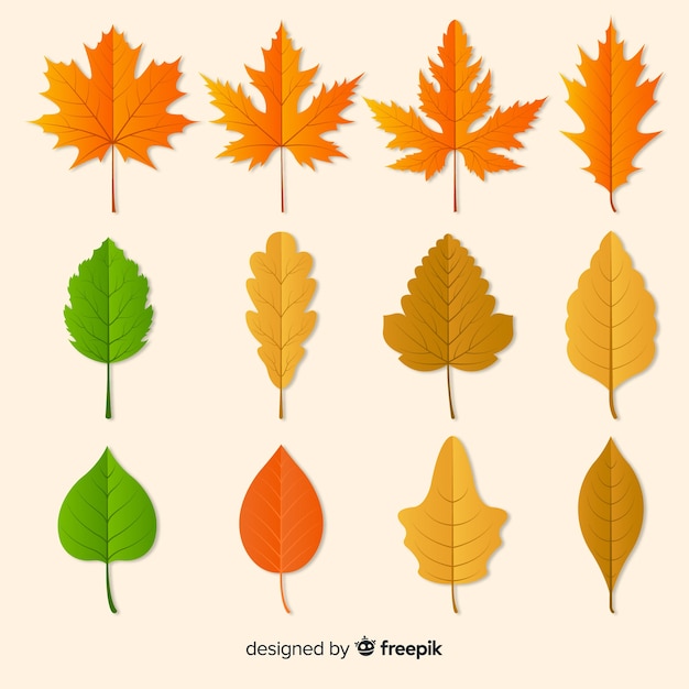 Бесплатное векторное изображение Коллекция осенних листьев плоский дизайн