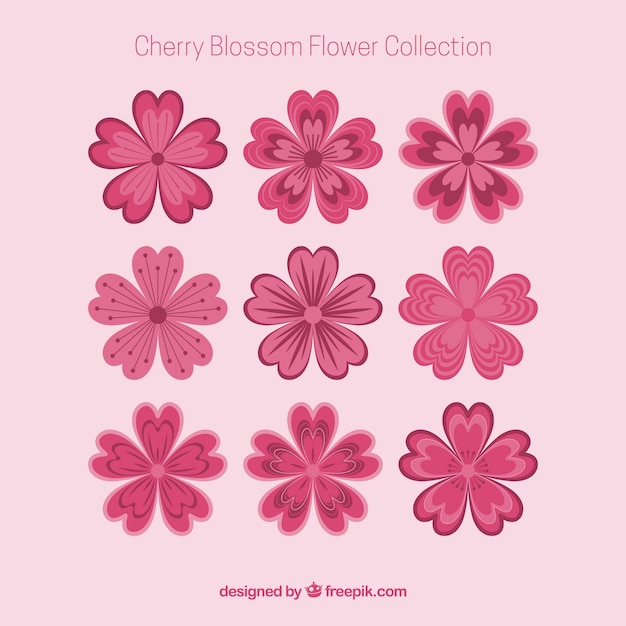 無料ベクター collection of beautiful cherry blossoms