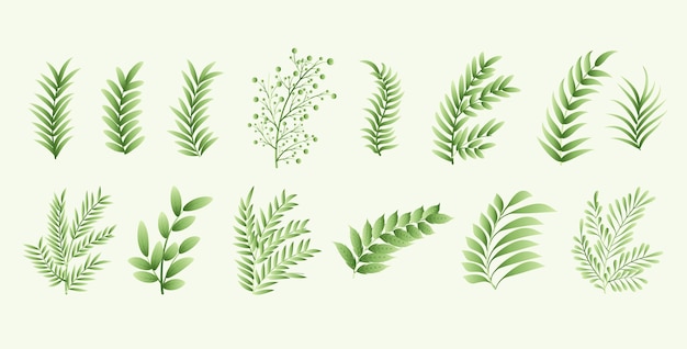 무료 벡터 식물성 자연 잎의 컬렉션 요소 색 배경 디자인
