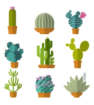 カクタス 画像 無料のベクター ストックフォト Psd カクタス 画像 無料のベクター ストックフォト Psd