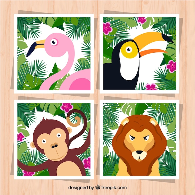 Бесплатное векторное изображение Коллекция карточек с экзотическими животными