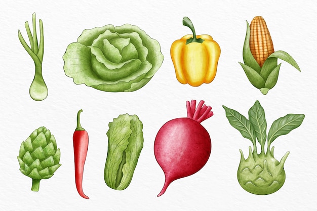 無料ベクター イラスト入りのさまざまな野菜のコレクション