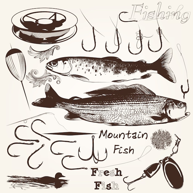Бесплатное векторное изображение Коллекция рыб и рыболовного снаряжения