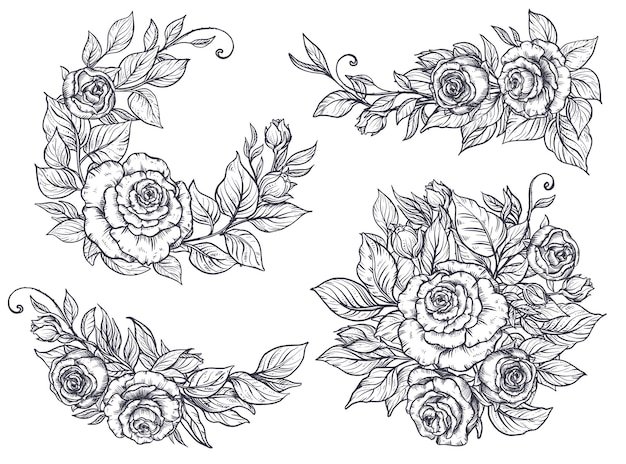 バラ​の​花​と​葉​を​持つ​4​つ​の​エレガントな​手描き​の​グラフィック​ブーケ​の​コレクション​。​美しい​ベクトル​イラスト​。
