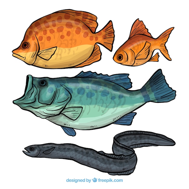 Бесплатное векторное изображение Коллекция из четырех рисованной рыбы