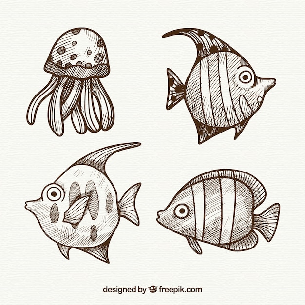 手描きの魚のコレクション