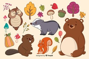 Бесплатное векторное изображение Коллекция рисованной лесных животных