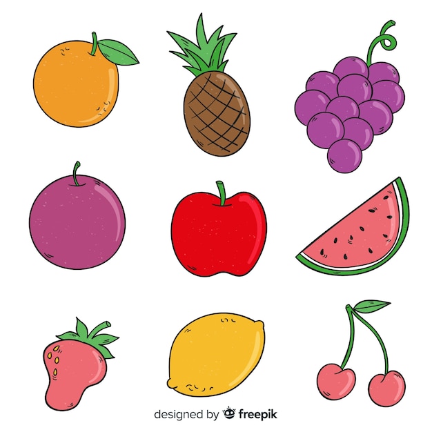 無料ベクター 手描きの果物のコレクション
