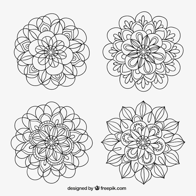 観賞用の花の要素を描かれた手のコレクション