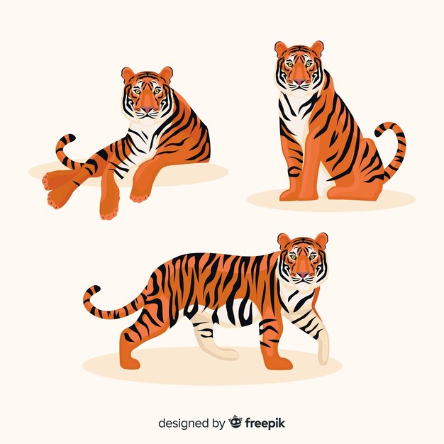 虎 画像 無料のベクター ストックフォト Psd