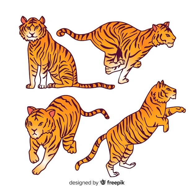Бесплатное векторное изображение Коллекция рисованной тигров