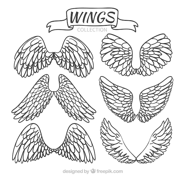 Бесплатное векторное изображение Коллекция рисованных крыльев