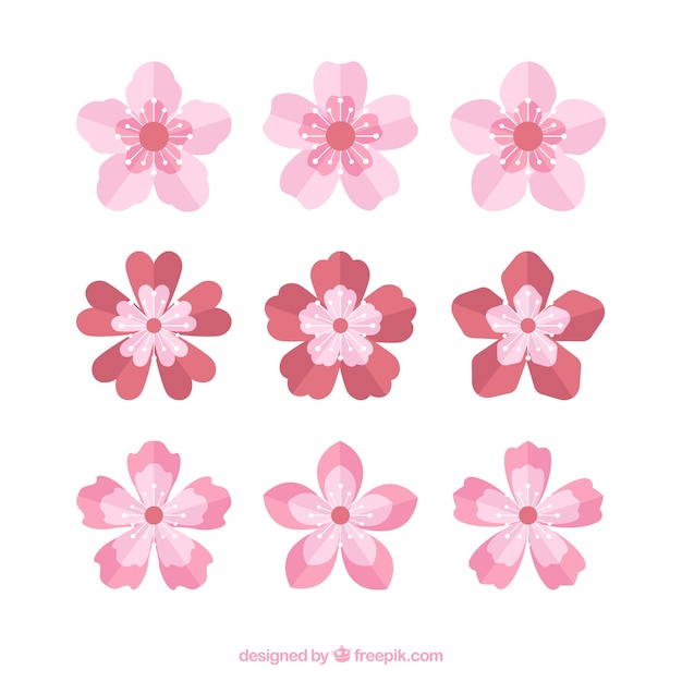 무료 벡터 평면 디자인에 예쁜 벚꽃의 컬렉션