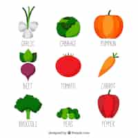 Бесплатное векторное изображение Сбор овощей