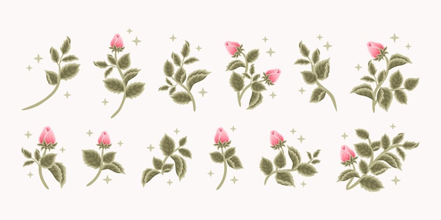 Коллекция старинных романтических розовых бутончиков, женский логотип, элементы брендинга косметической этикетки