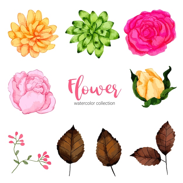 무료 벡터 수채화 그림 아름다운 꽃의 컬렉션