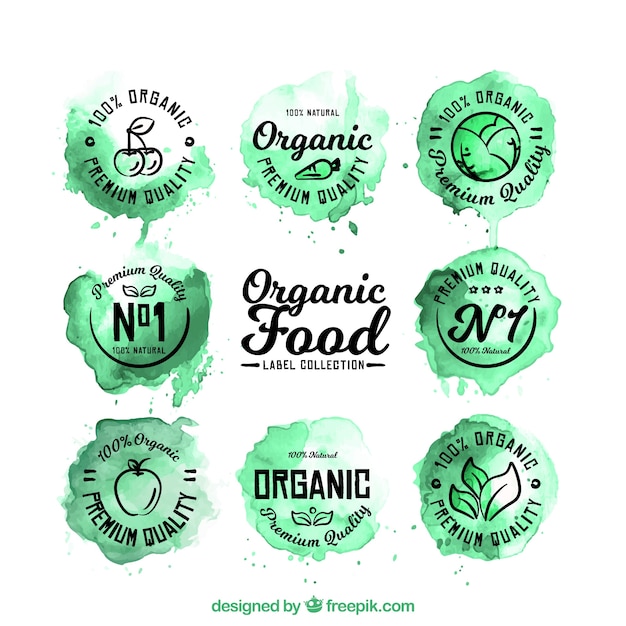 Collection of organic food labels in watercolor style