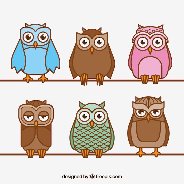 Collection of outline owls in different colors