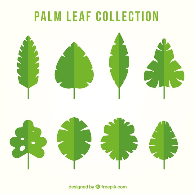 Free vector collection of palm leaves in flat design